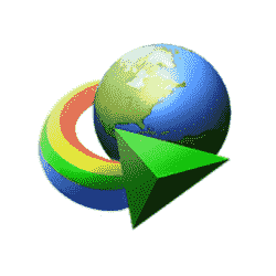 Internet Download Manager (IDM)